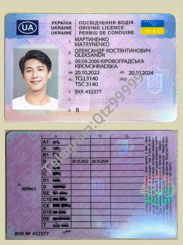 东欧|Ukraine DL乌克兰新版驾照/驾驶证PSD模板（2023）