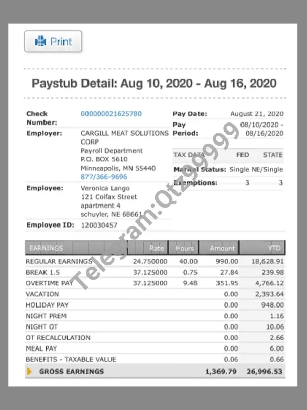 Cargill Meat Solutions Paystub template美国肉厂收入证明/工资账单PDF模板