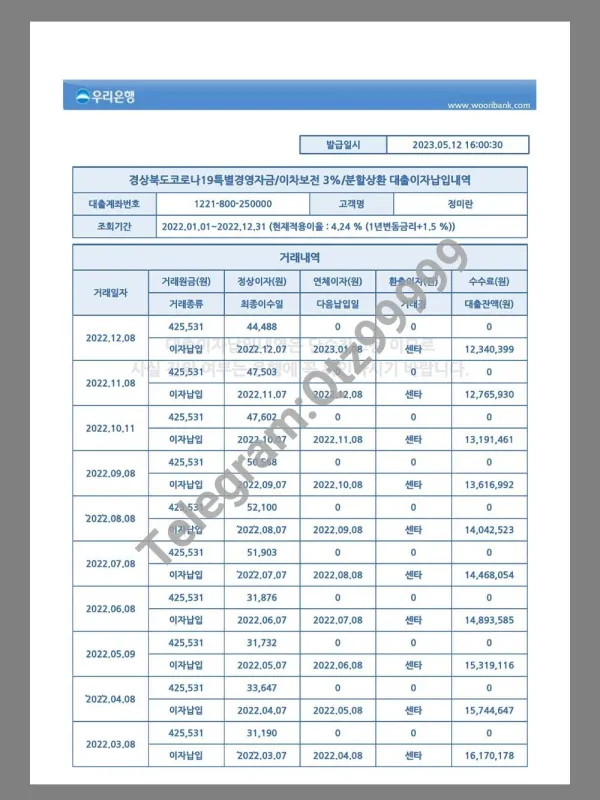 South Korea Woori Bank Statement韩国友利银行还款账单pdf模板