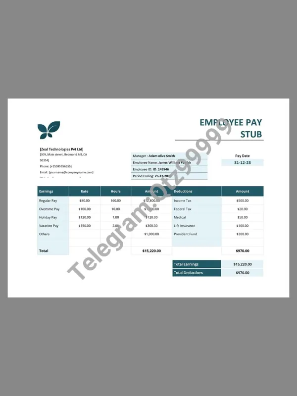 Zeal Technologies Paystub template软件公司收入证明/工资账单Word模板