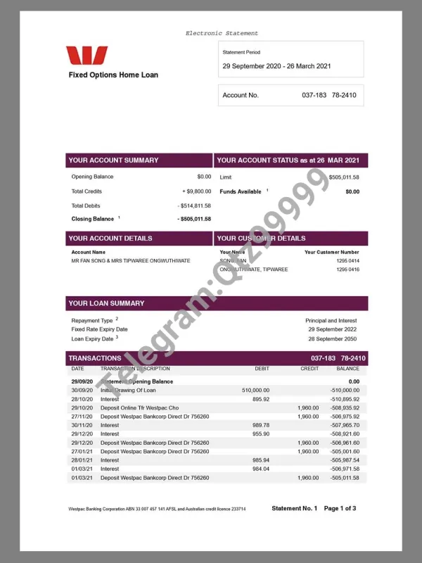 Fixed Options Home Loan Electronic Statement pdf美国还房贷账单模板