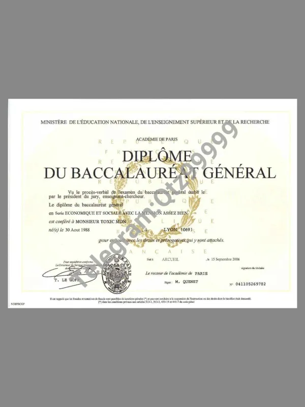 France University Diploma Certificate法国大学学位证书PS/PSD模板(V3)