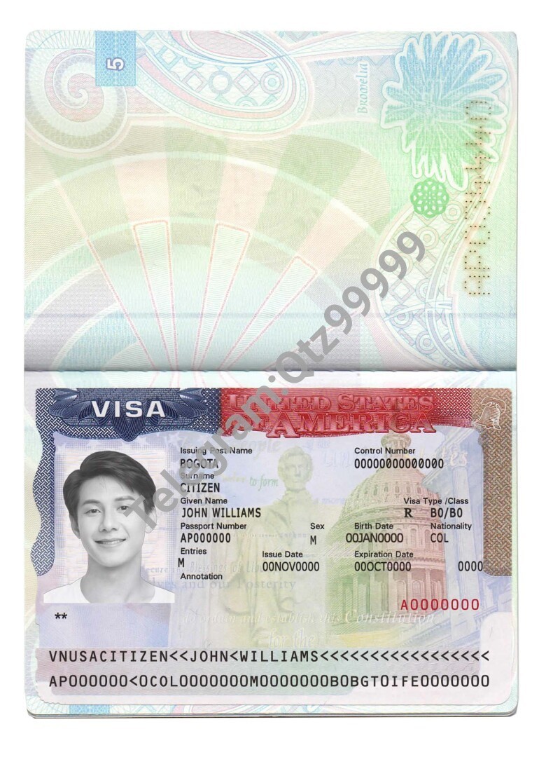 USA Tourist Visa PSD Template美国旅游签证/美签PSD模板 高清原件/PDF/PSD下载 - 地址证明风控解除