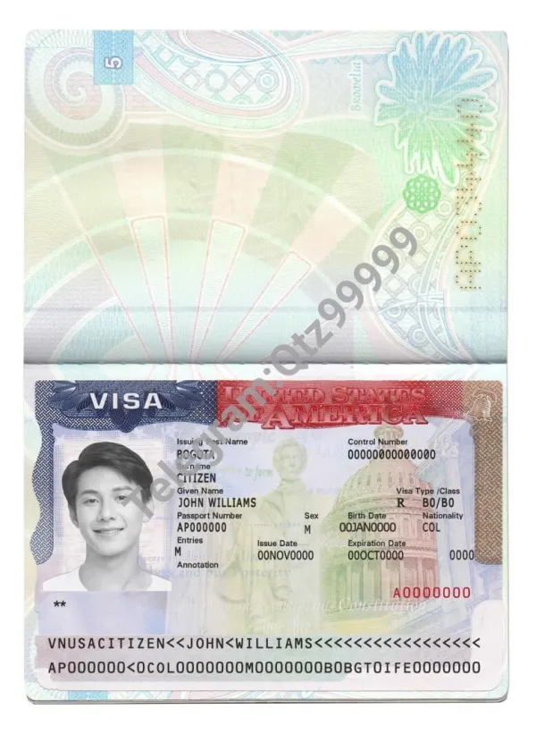 USA Tourist Visa PSD Template美国旅游签证/美签PSD模板