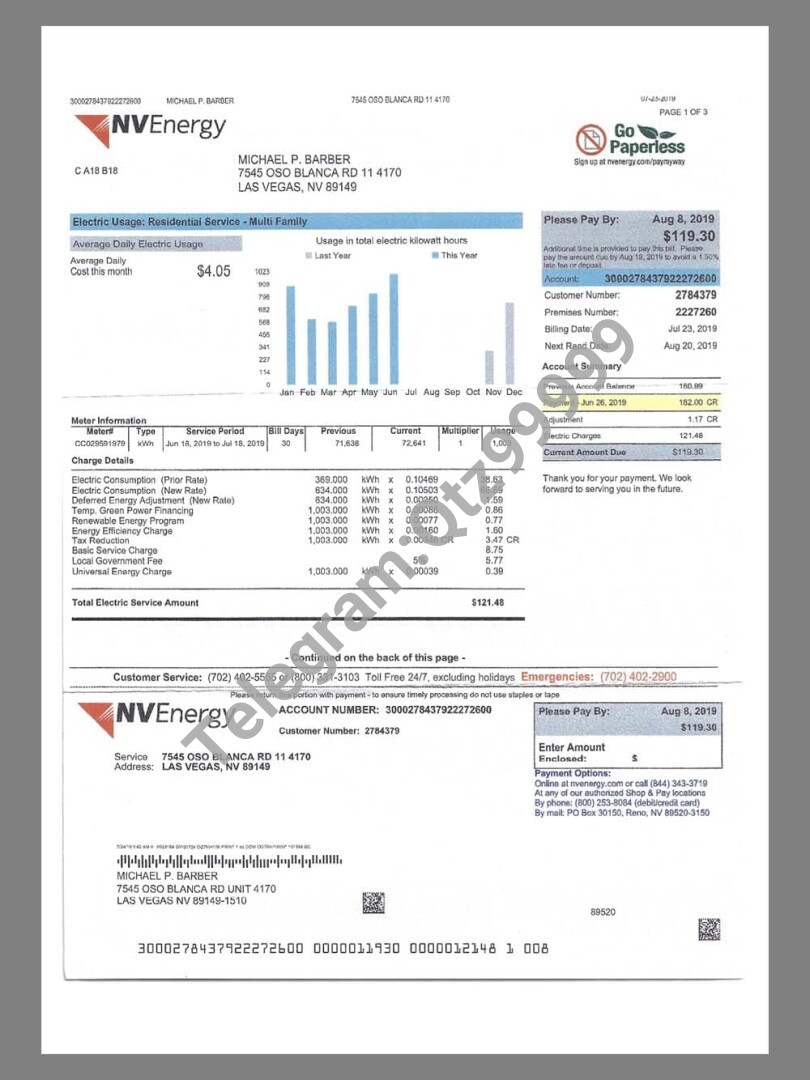 美国USA Nevada NVEnergy Utility Bills水电费账单/KYC地址证明pdf模板