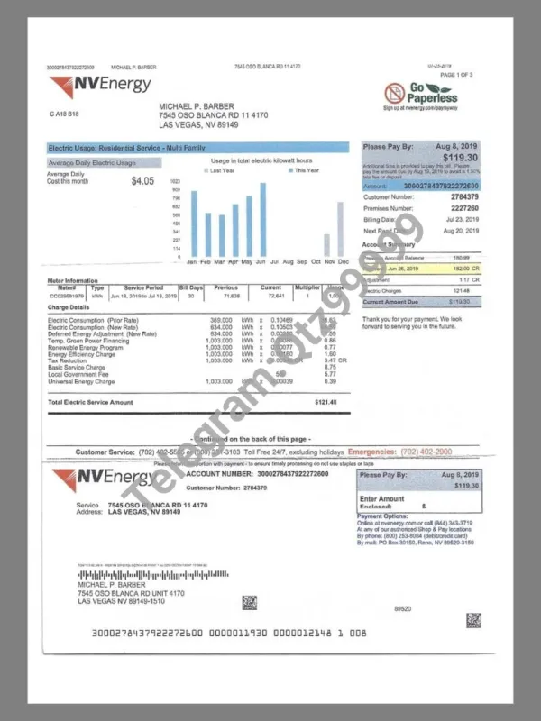 美国USA Nevada NVEnergy Utility Bills水电费账单/KYC地址证明pdf模板