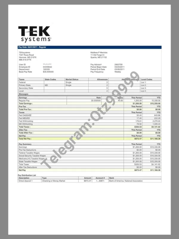 TekSystems Paystub template IT外包公司收入证明/工资账单PDF模板