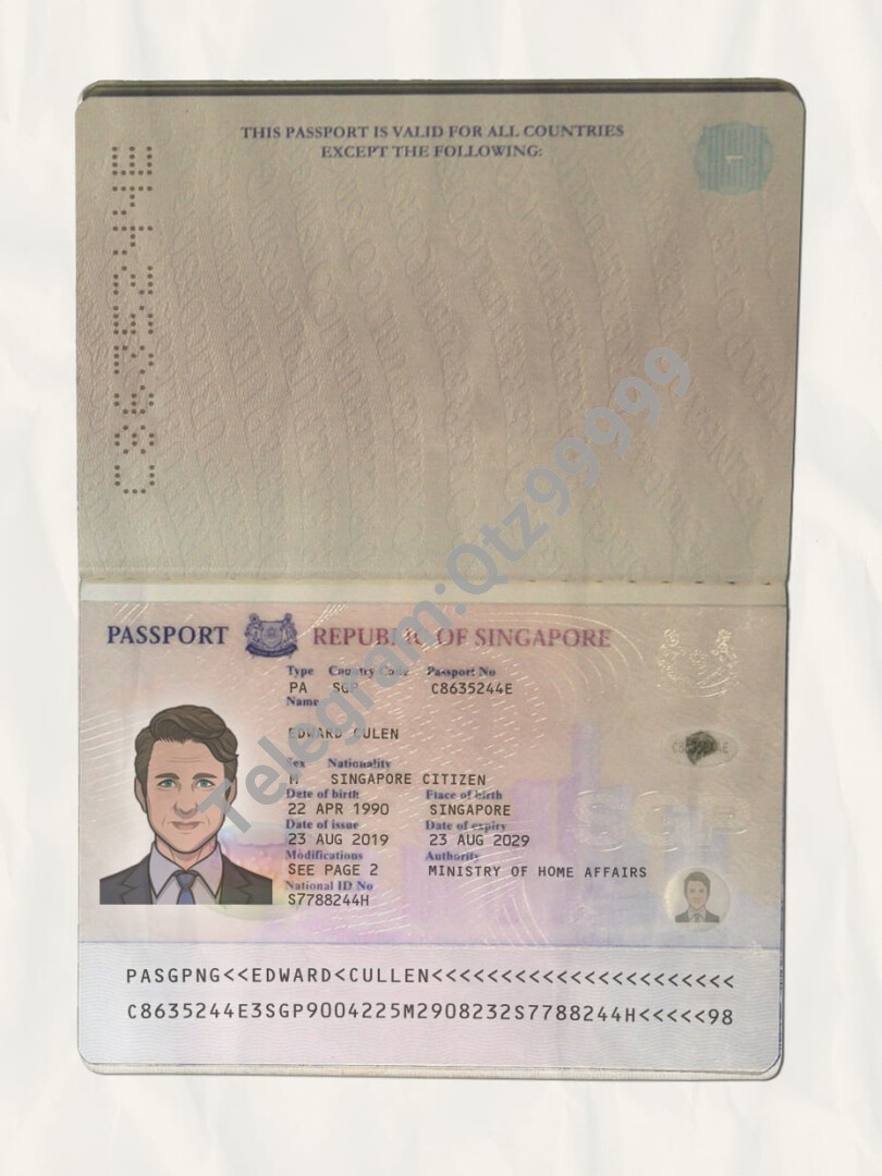 东南亚|Singapore Passport新加坡护照PSD/Photoshop/PS模板(扫描件版) 高清原件/PDF/PSD下载 - 地址证明风控解除