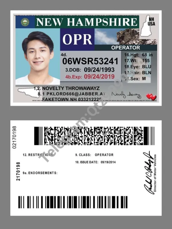 美国|New Hampshire DL新罕布什尔州驾照/驾驶证PSD/Photoshop/PS模板(打印版)