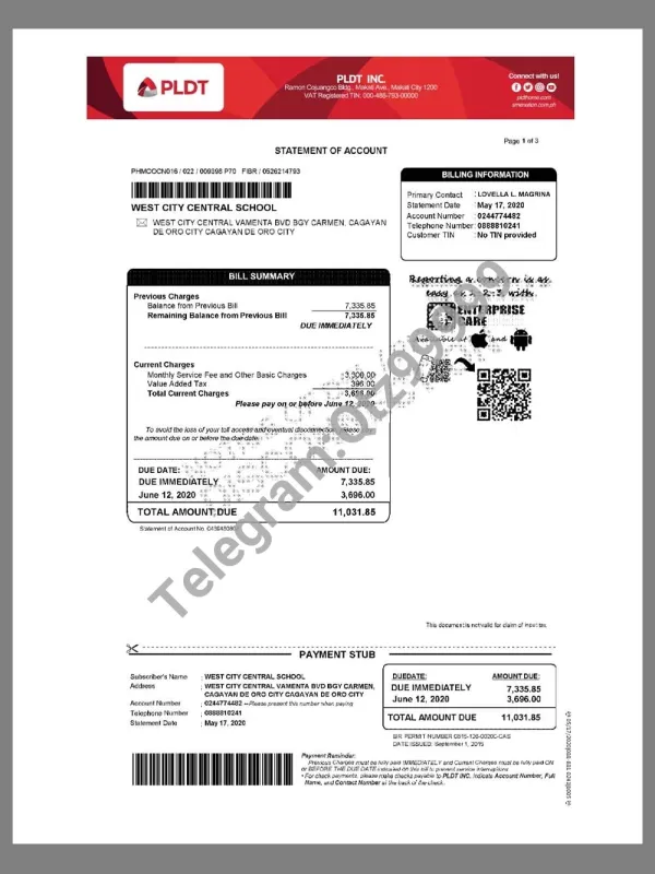 Philippines PLDT Business Telecom(Internet) Bills菲律宾企业电信账单pdf模板