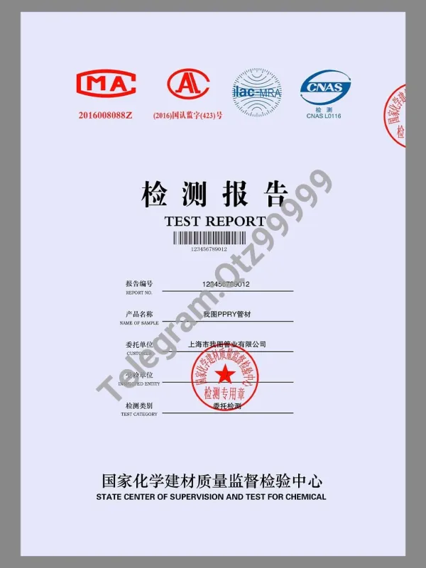 Chinese Chemical Building Materials Test Report通用版化学建材检测报告模版