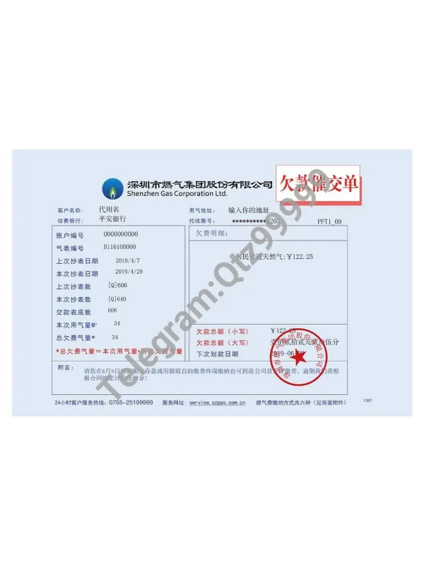 China Shenzheng Gas Group Utility Bills深圳燃气水电费账单/地址证明ps/psd模板