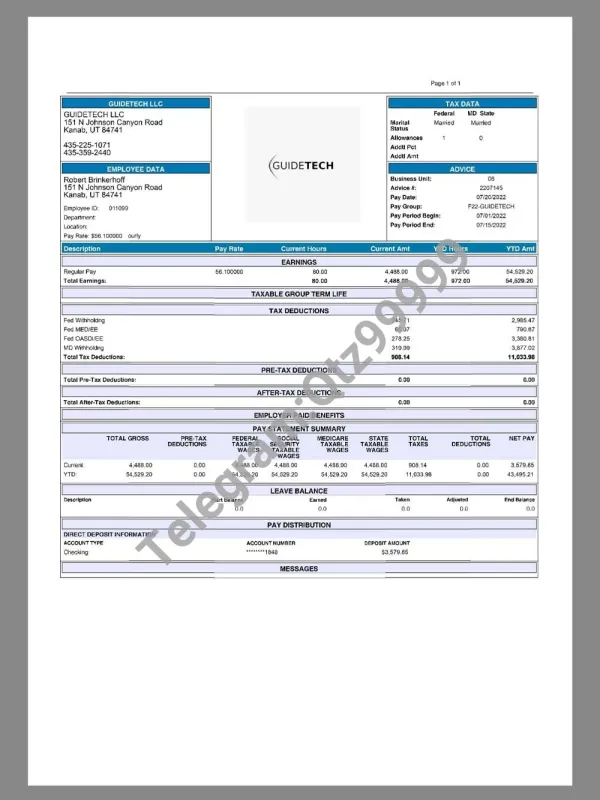 GuideTech Paystub template电子科技公司收入证明/工资账单PDF模板