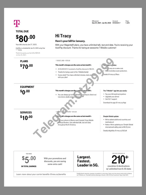 USA T-mobile Invoice美国移动话费账单pdf模板