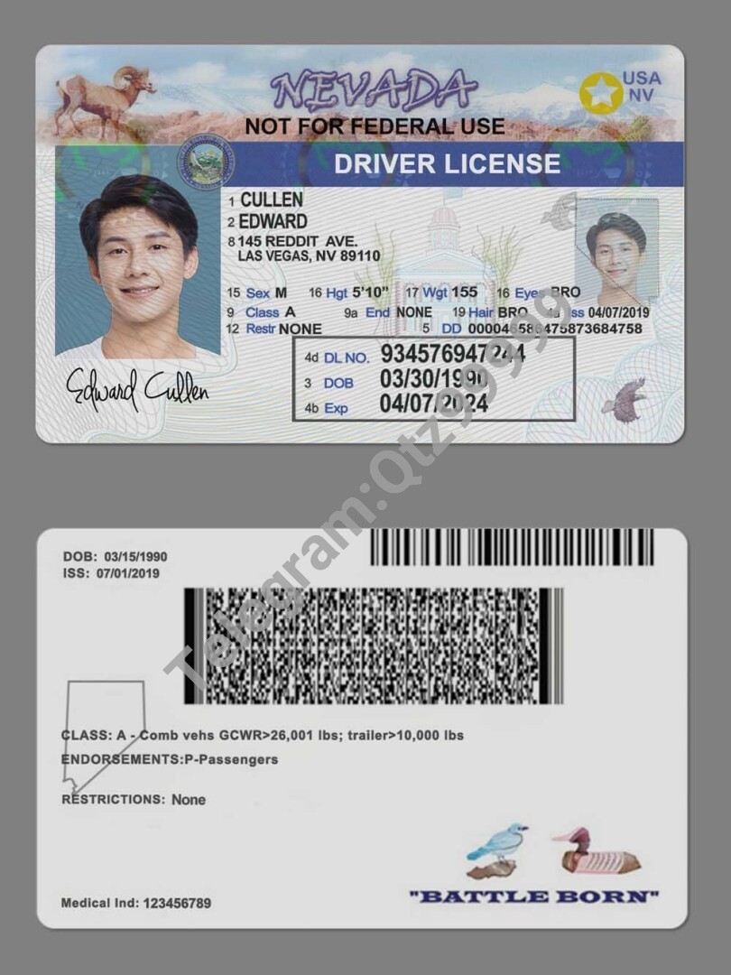USA美国内华达州Nevada DL驾驶证/驾照高质量PSD/PS/Photoshop模板 高清原件/PDF/PSD下载 - 地址证明风控解除