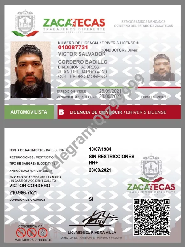 北美|Mexico Driver License墨西哥驾照/驾驶证PS/PSD模板（打印版）