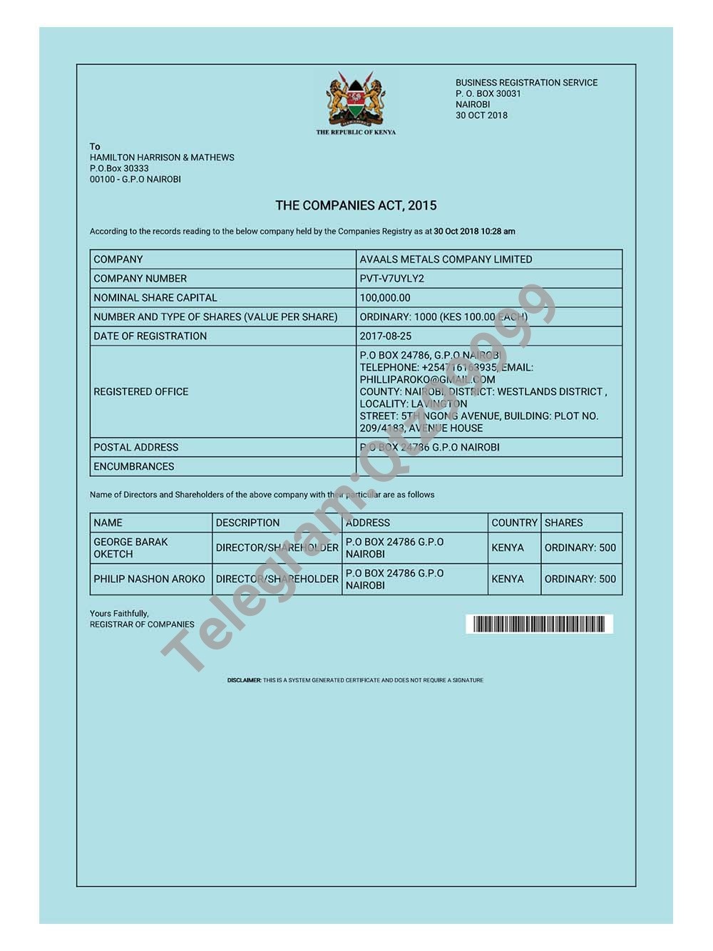 Kenya Business Registration Certificate肯尼亚营业执照pdf模板