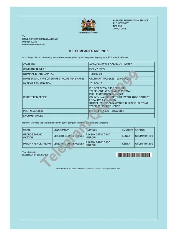 Kenya Business Registration Certificate肯尼亚营业执照pdf模板