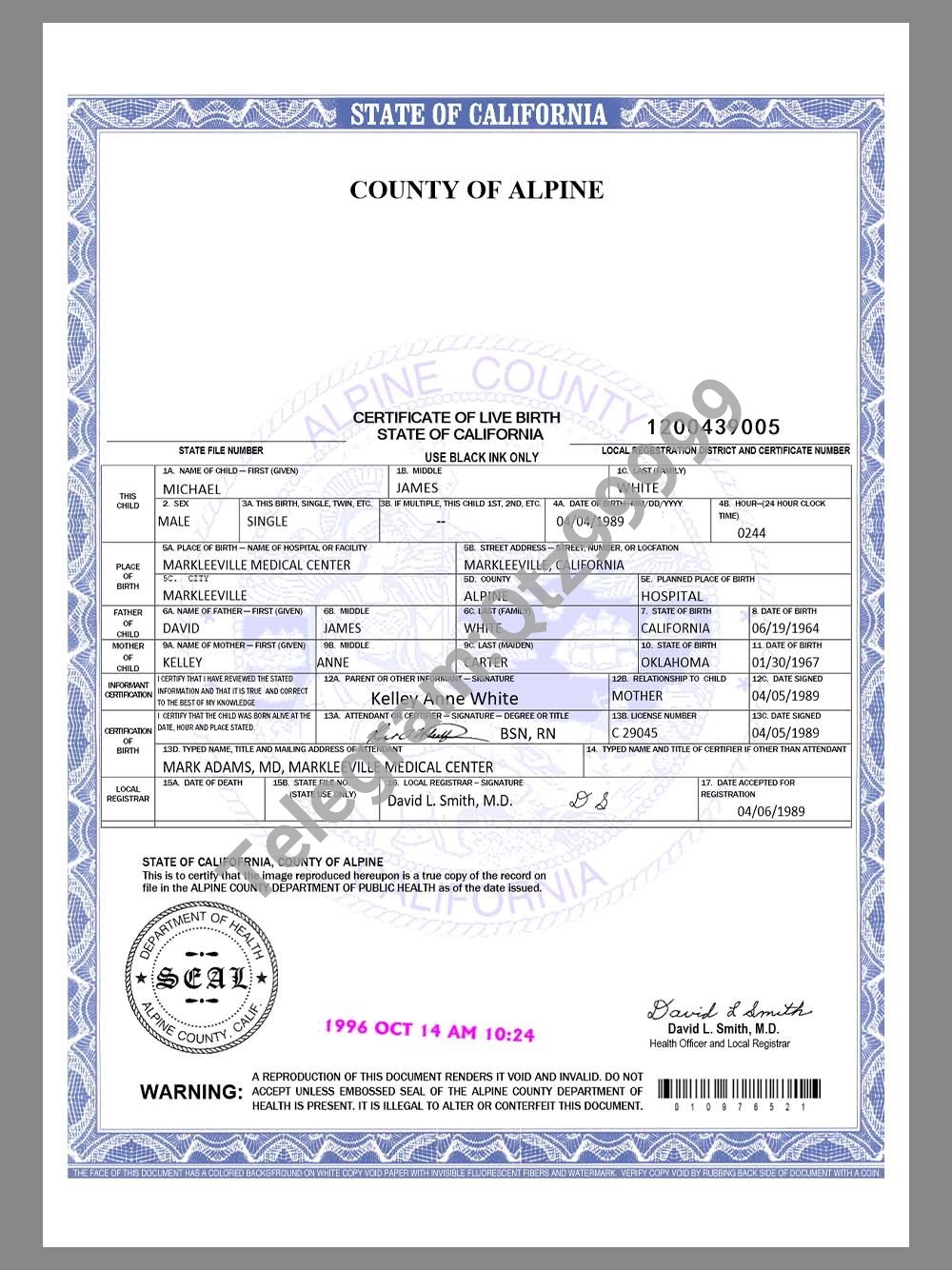 USA California Alpine County Birth Certificate美国加州出生证明word模板