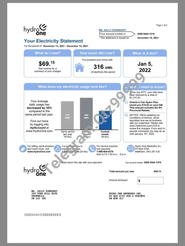 北美|Canada Ontario Hydro One Utility Bills加拿大安大略水电费账单pdf模板