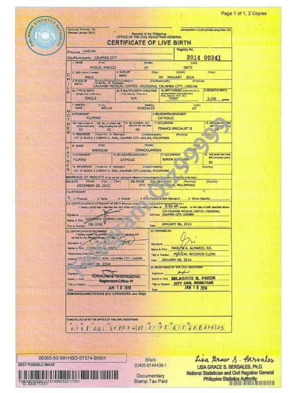 东南亚| Philippines Birth Certificate Template菲律宾出生证明PDF模板（V2）