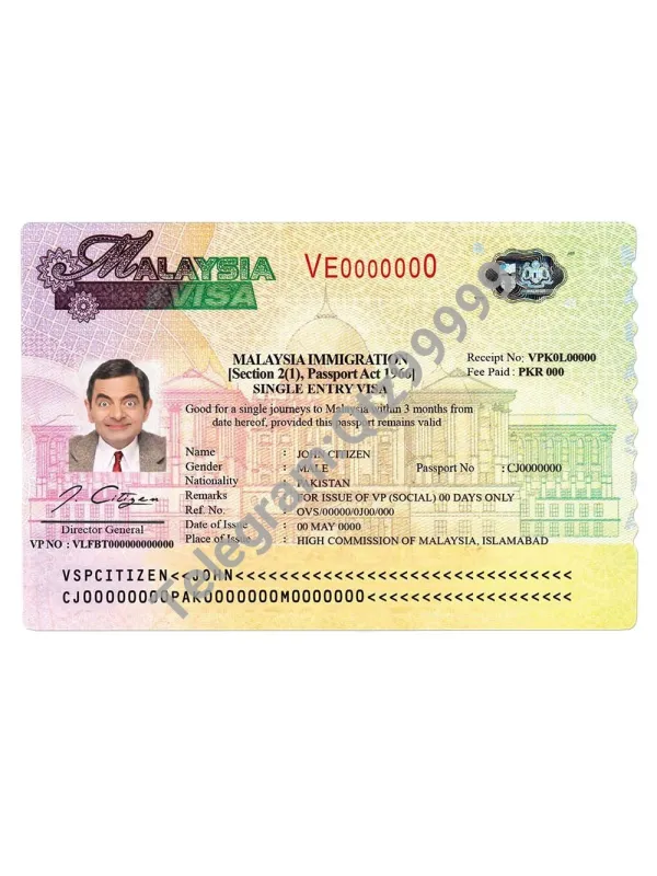 东南亚|Malaysia Visa Template马来西亚签证PS/Photoshop/PSD模板