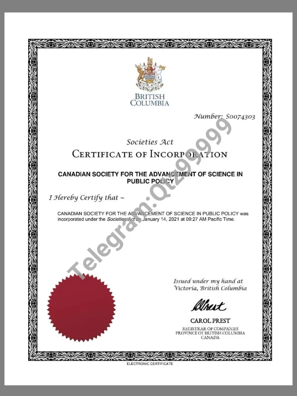 Canada BC Company Certificate加拿大哥伦比亚省公司营业执照pdf模板