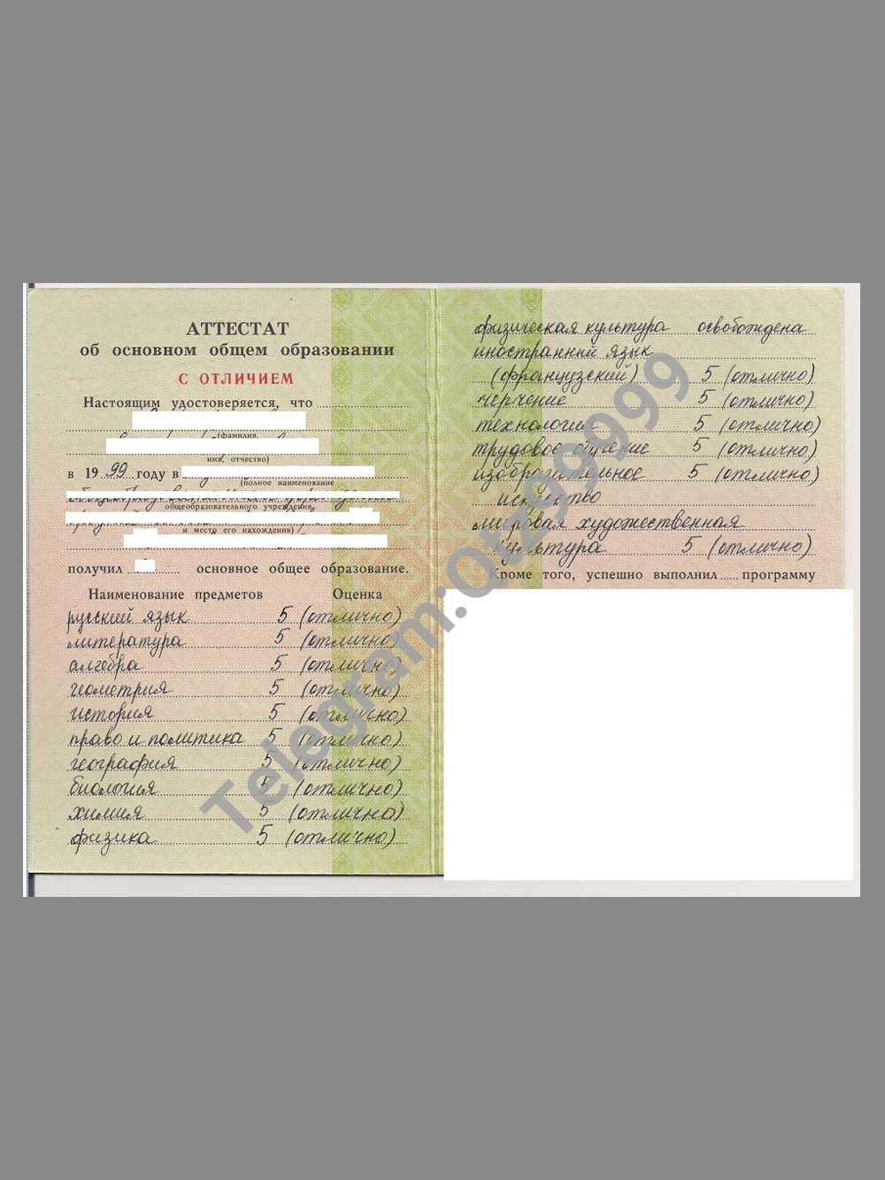 Russian School Certificate俄罗斯中学毕业证书PS/PSD模板 高清原件/PDF/PSD下载 - 地址证明风控解除
