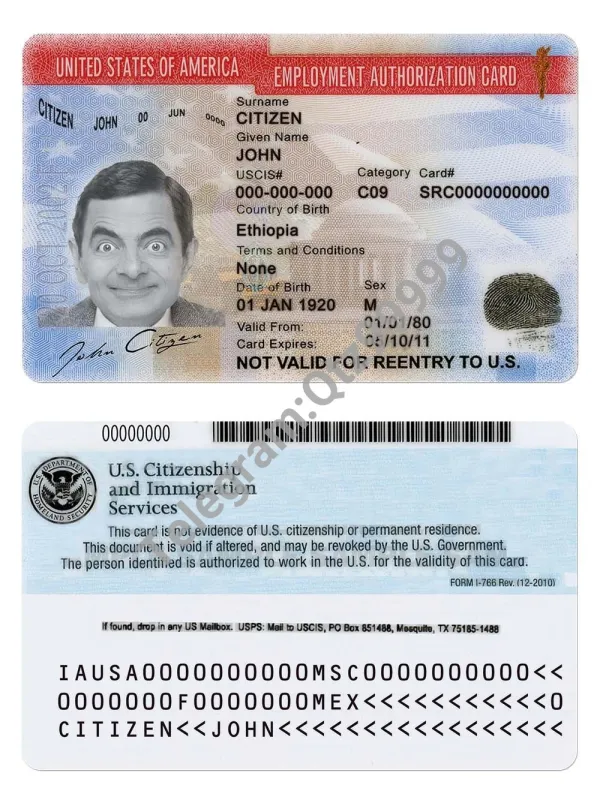 USA Employment Authorization Card美国工卡/就业授权卡/工作许可证PSD模板