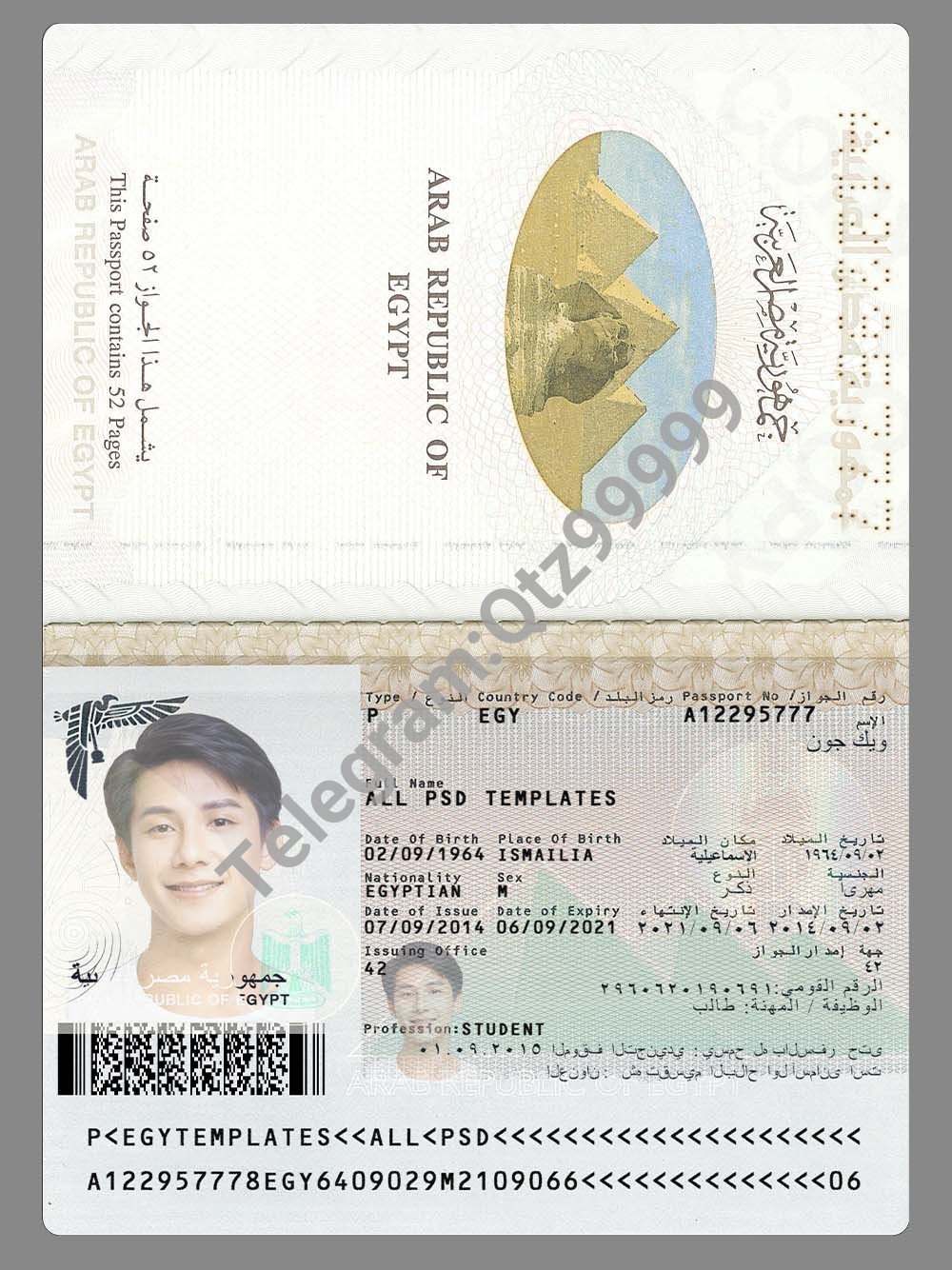 非洲|中东|Egypt Passport埃及护照PSD/Photoshop/PS模板(打印版) 高清原件/PDF/PSD下载 - 地址证明风控解除