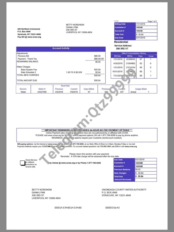 USA New York OCWA Utility Bills美国纽约奥农达加水电费账单word/pdf模板