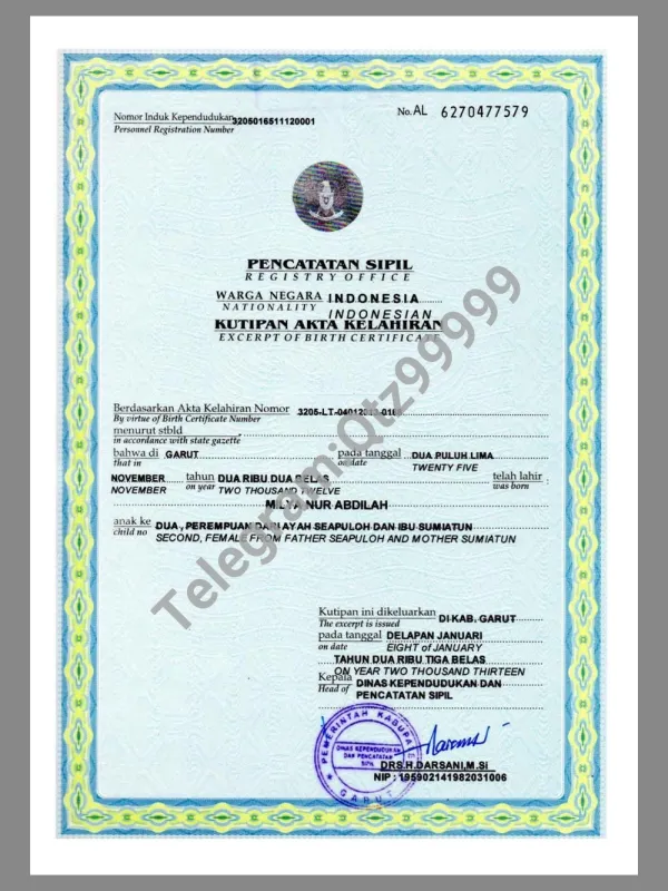 东南亚|Indonesia Birth Certificate印度尼西亚/印尼出生证明pdf模板