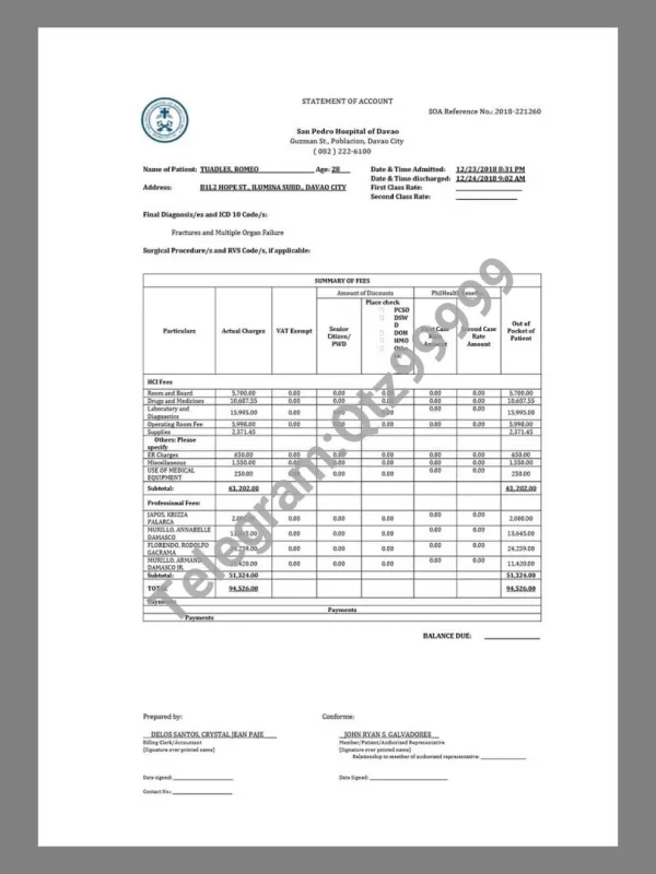 东南亚|菲律宾Philippines Davao San Pedro Hospital Bill医院账单/KYC地址证明pdf模板