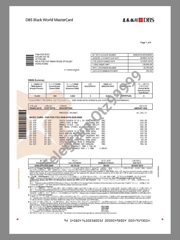 DBS Bank Statement新加坡/香港星展银行账单/KYC地址证明pdf模板
