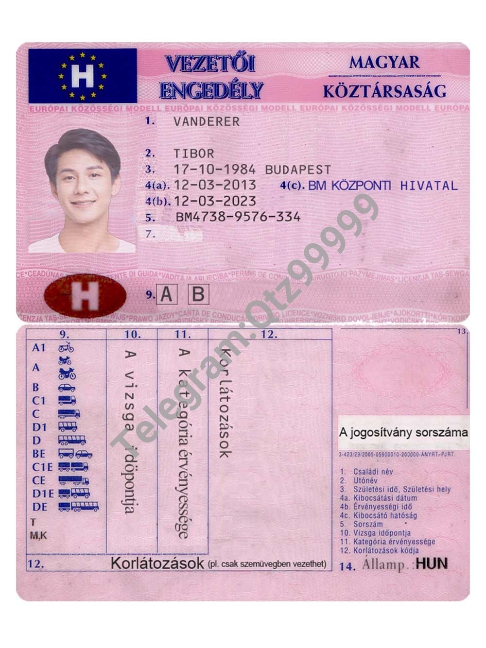 欧盟|Hungary DL匈牙利驾照/驾驶证ps/photoshop/PSD模板（V1） 高清原件/PDF/PSD下载 - 地址证明风控解除