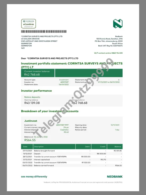 South Africa NEDBank Business Statement南非公司银行账单pdf模板