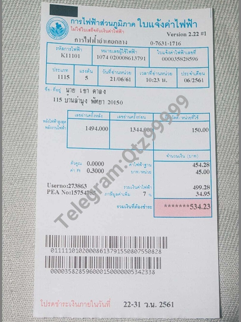 东南亚|泰国Thailand Electricity Utility Bills水电费账单/KYC地址证明psd模板 V1
