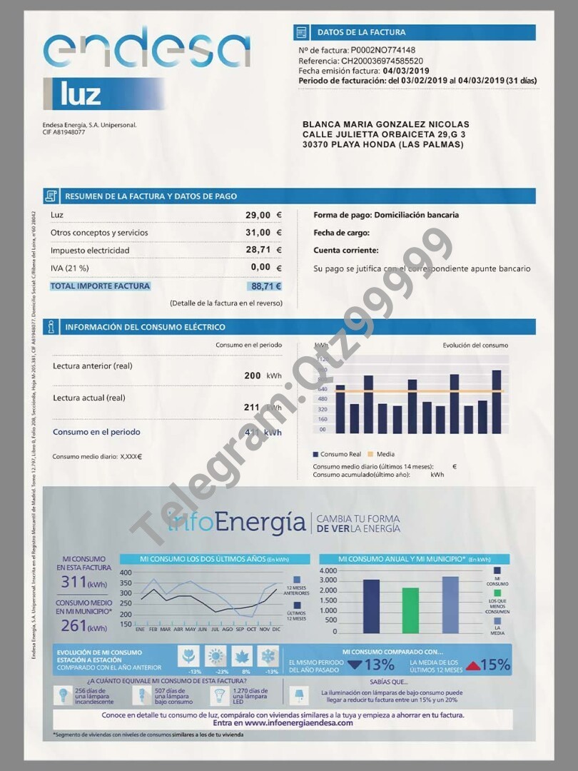 欧盟|Spanish Endesa Utility Bills西班牙水电费账单/KYC地址证明PS/PSD模板 高清原件/PDF/PSD下载 - 地址证明风控解除