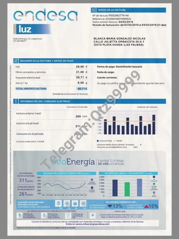 欧盟|Spanish Endesa Utility Bills西班牙水电费账单/KYC地址证明PS/PSD模板