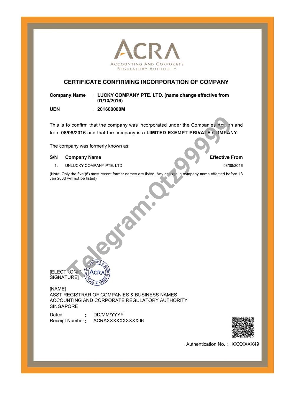 Singapore Company Certificate新加坡企业营业执照pdf模板