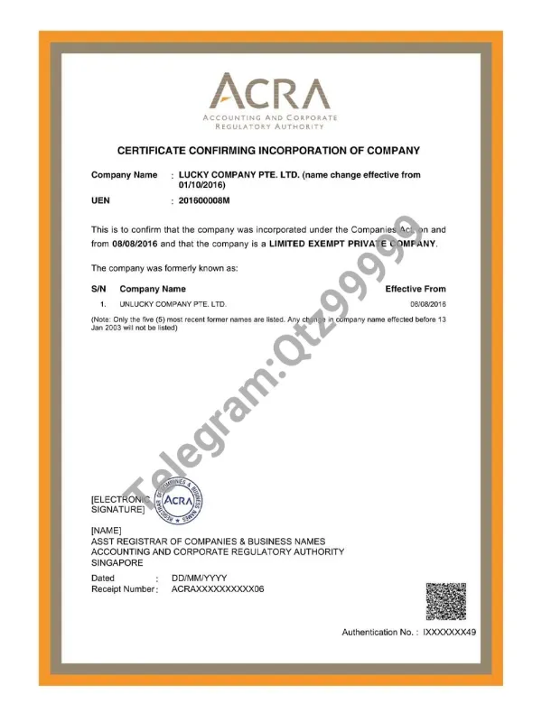 Singapore Company Certificate新加坡企业营业执照pdf模板