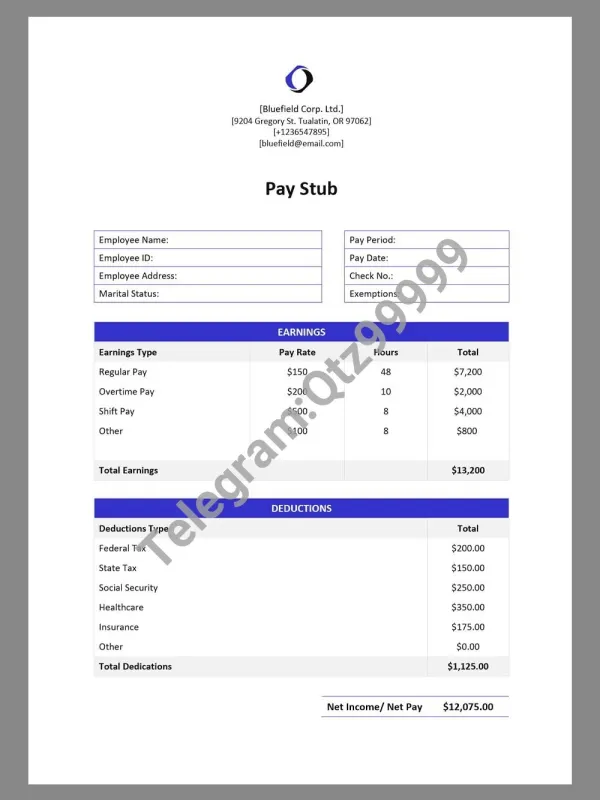 Bluefield Corp Paystub template电子公司收入证明/工资账单Word模板