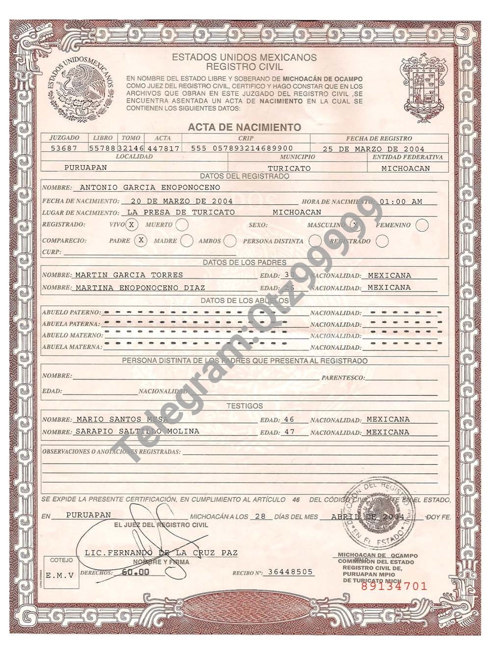 Mexico Birth Certificate Template墨西哥出生证明PS/PSD模板