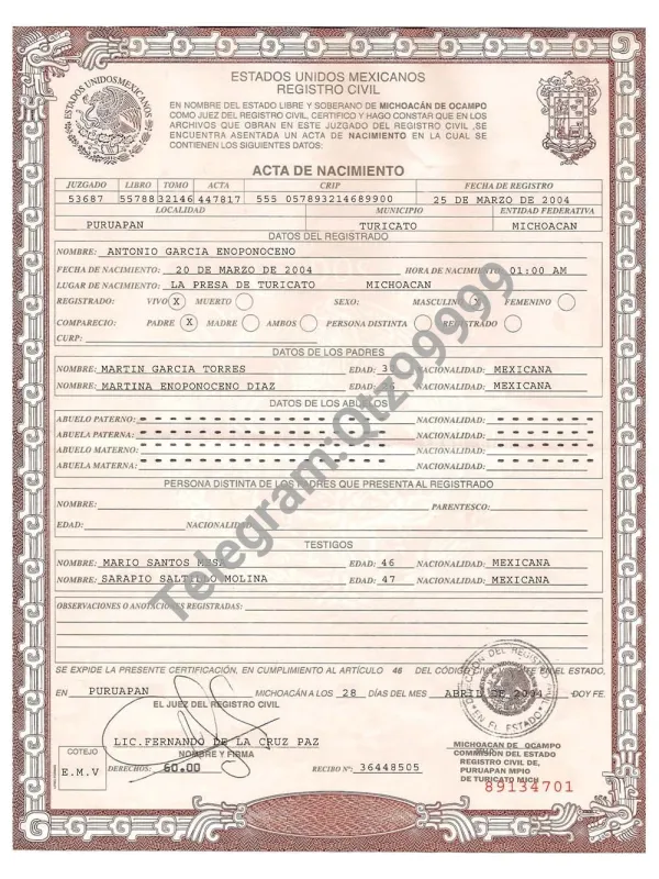 Mexico Birth Certificate Template墨西哥出生证明PS/PSD模板