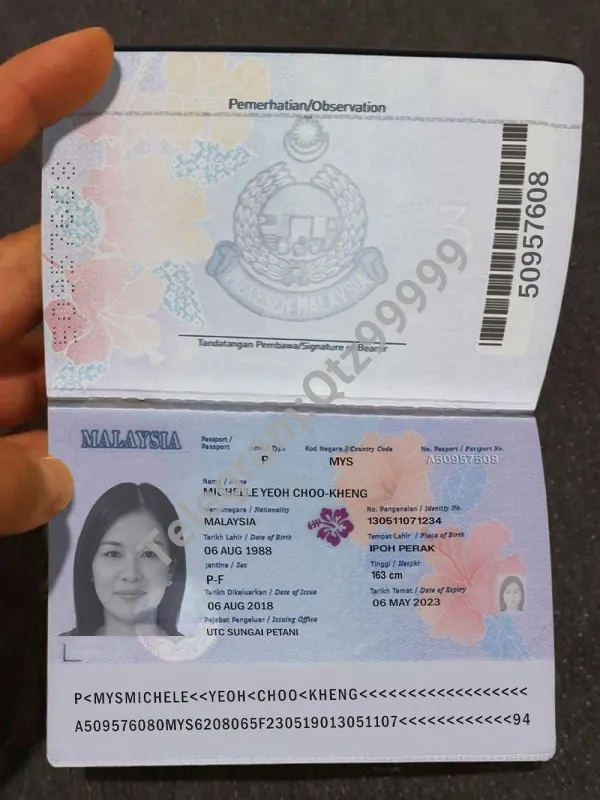 东南亚|Malaysia Passport马来西亚新版护照手持照PS/Photoshop/PSD模板
