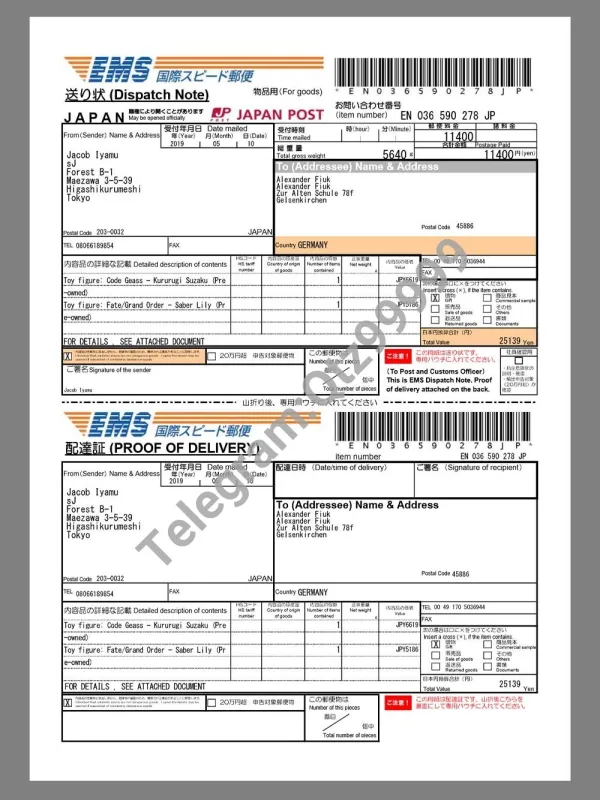 Japan EMS Invoice日本邮政快递账单pdf模板