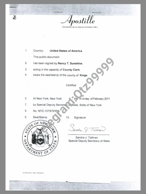 USA New York Apostille Certificate美国纽约州认证公证书pdf模板