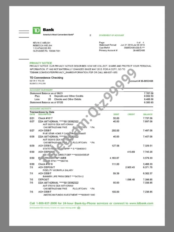美国TD Bank Statement银行账单/KYC地址证明pdf模板