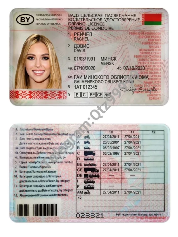 东欧|Belarus DL白俄罗斯驾照/驾驶证PSD模板（V1）/PS/Photoshop