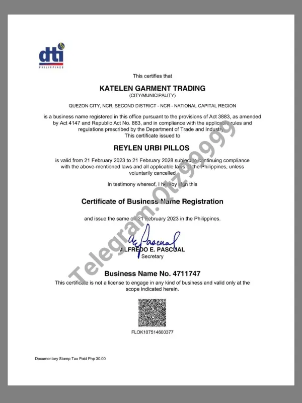 Philippines Small Company Certificate菲律宾小微企业贸易许可证pdf模板